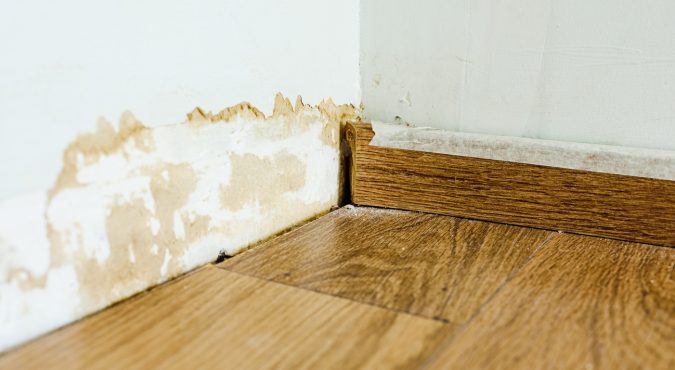 Skirting board on a wall damaged by mold.